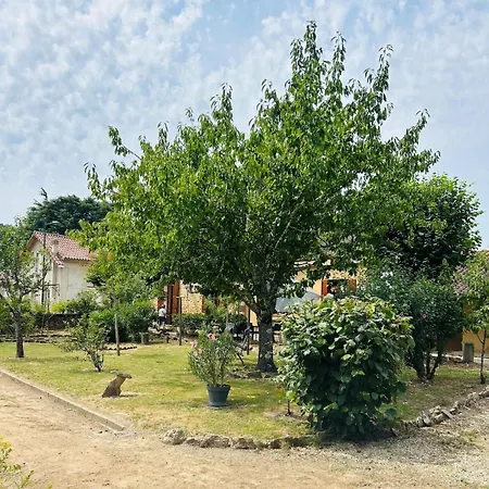 Les 3 Tilleuls - Charme & Jardin Au Coeur De Sarlat